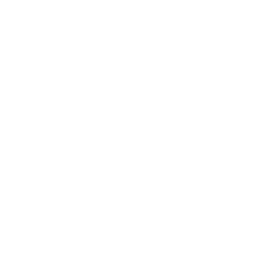 Acompañamiento profesional continuo